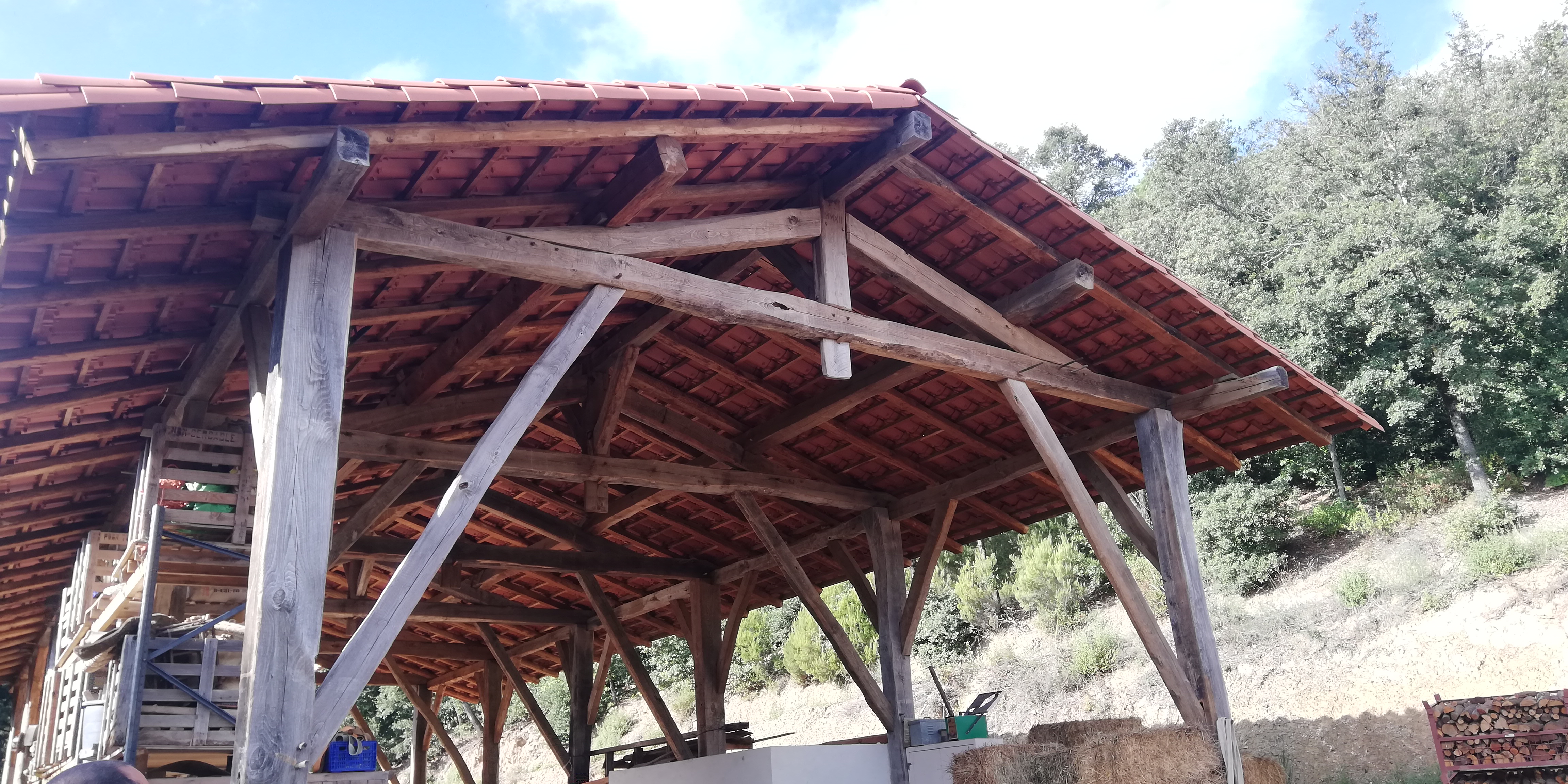 Estudiem la fusta en el Curs de Mestratge en Construcció Tradicional